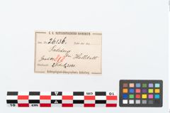 Etikett zu Bronzebrillenfibel (NHMW-PRAE-026136)